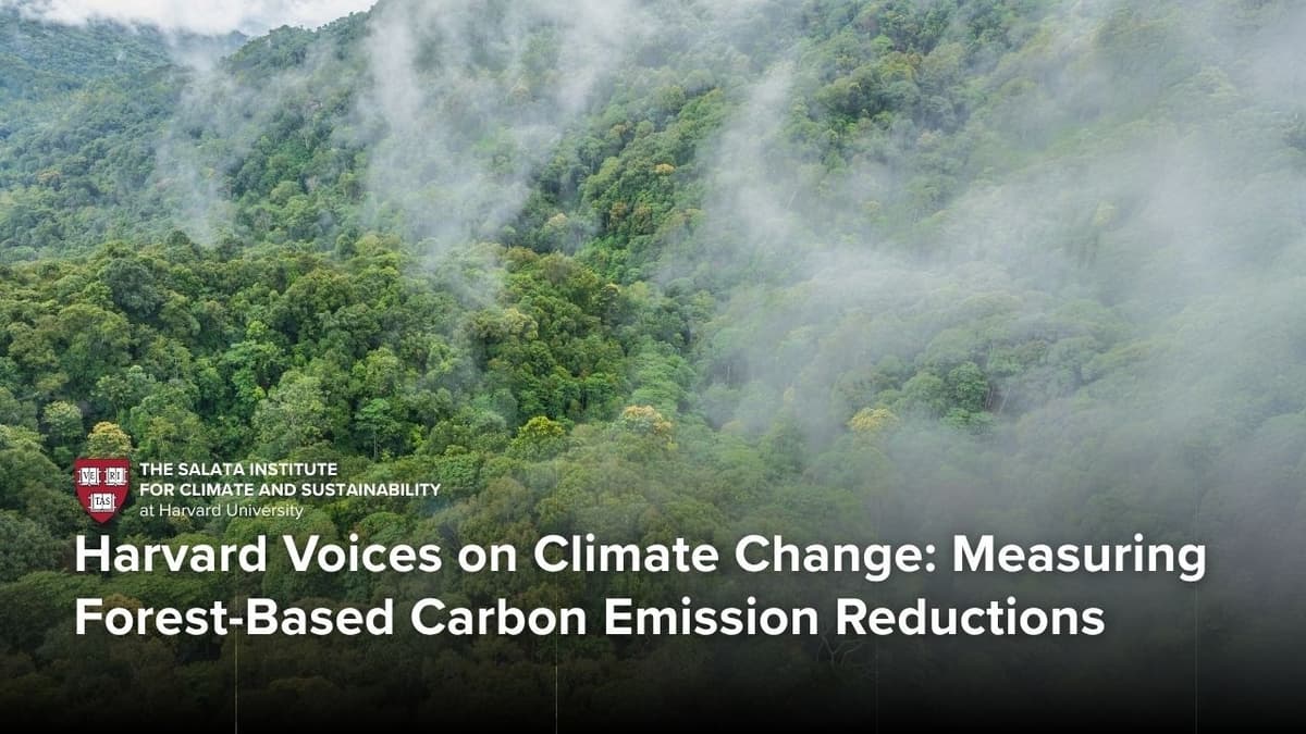 Harvard Voices on Climate Change: Measuring Forest-Based Carbon Emission Reductions