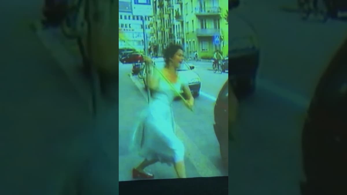 Pipilotti Rist on Her Iconic Work 'Ever Is Over All' (1997) #contemporaryart #art