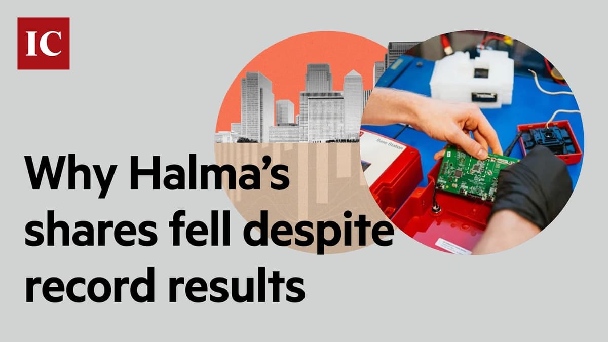 Halma Delivers Record Profits — So Why Did the Stock Crash?