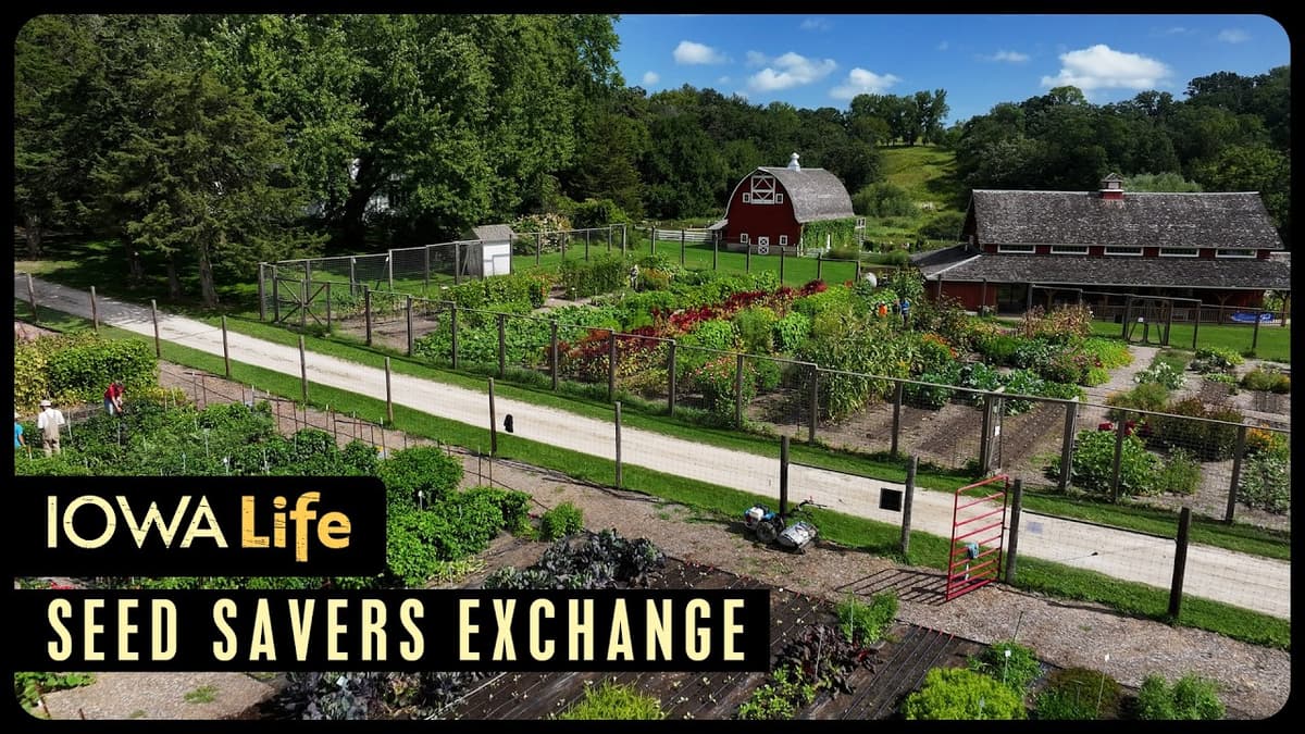 This Iowa Nonprofit Is the Largest Nongovernmental Seed Bank in the Country | Iowa Life