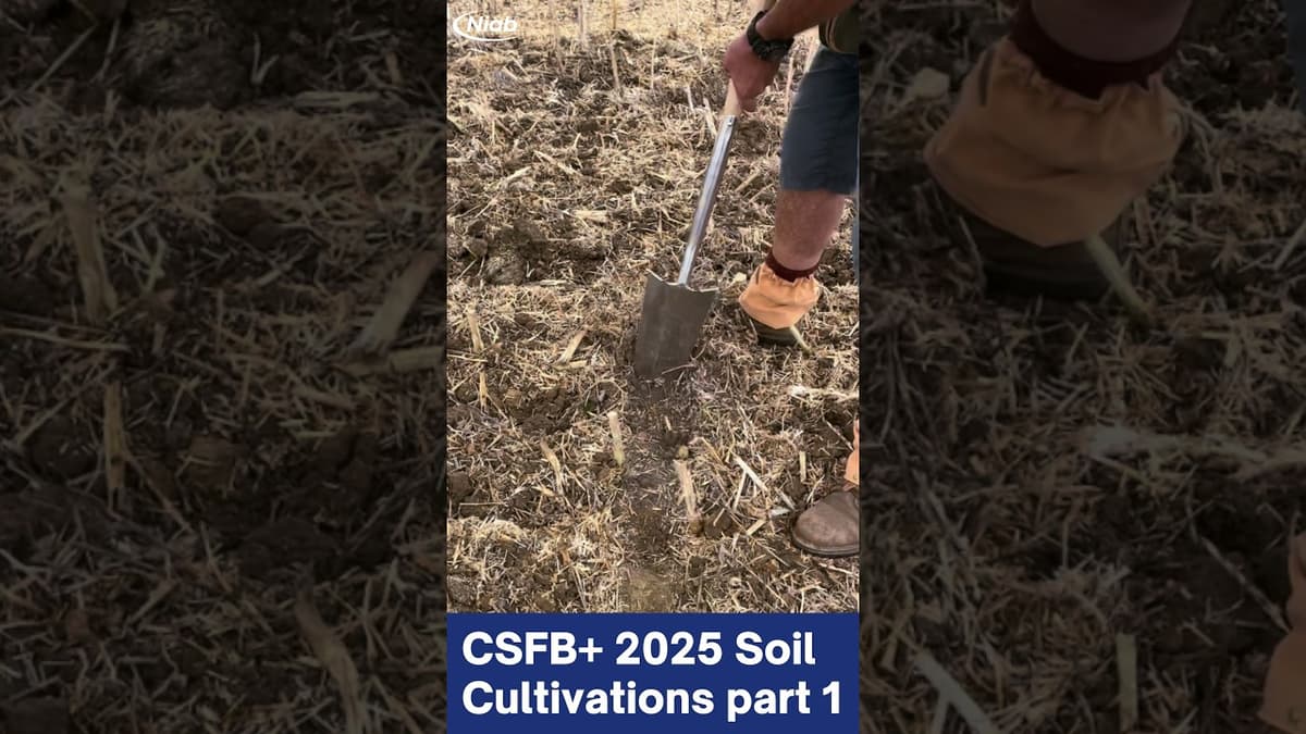 CSFB+ Soil Cultivations Part 1
