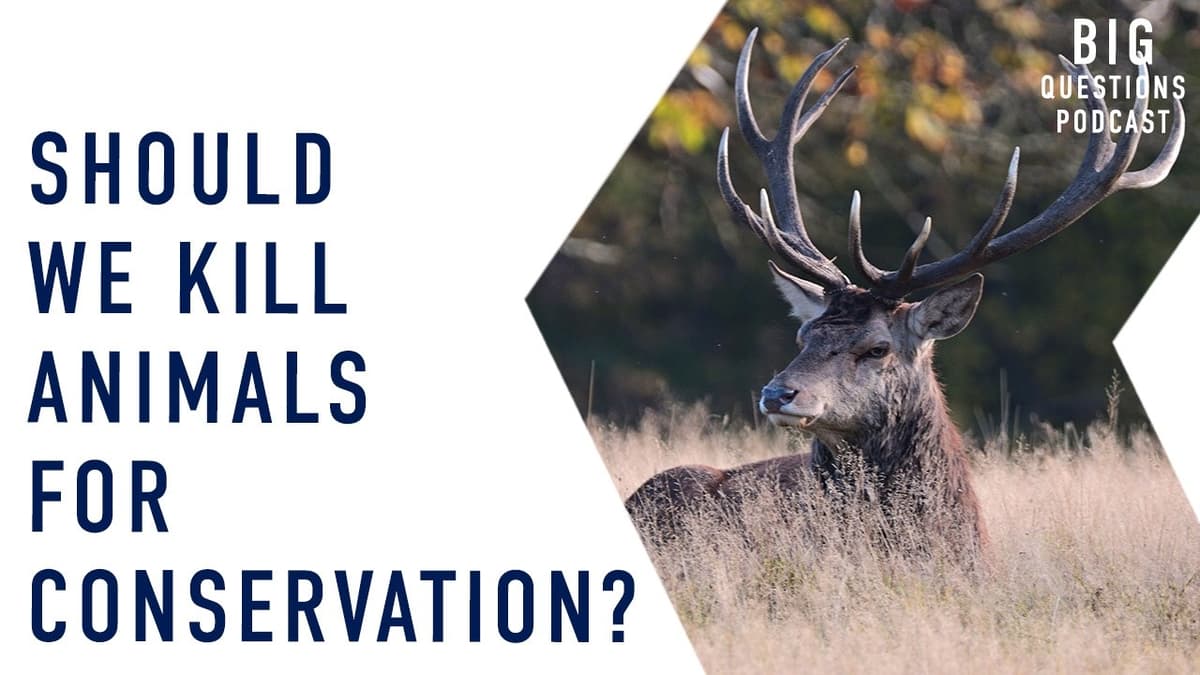 Should We Kill Animals for Conservation?