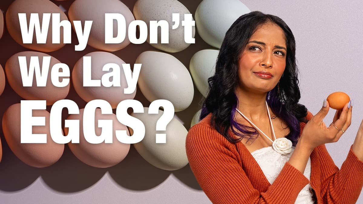 Why Mammals Gave Up On Laying Eggs