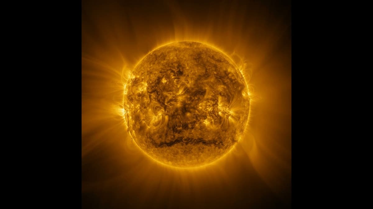 Project Hail Mary Hits the Big Screen