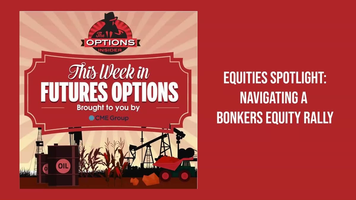 Equities Spotlight: Navigating a Bonkers Equity Rally