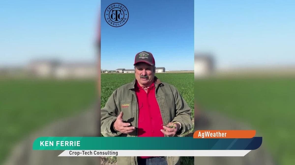 Near Freezing Temperatures Could Impact Crops