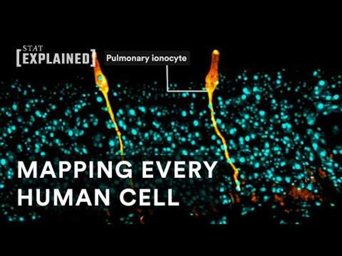 A Cellular Census: Mapping Every Human Cell