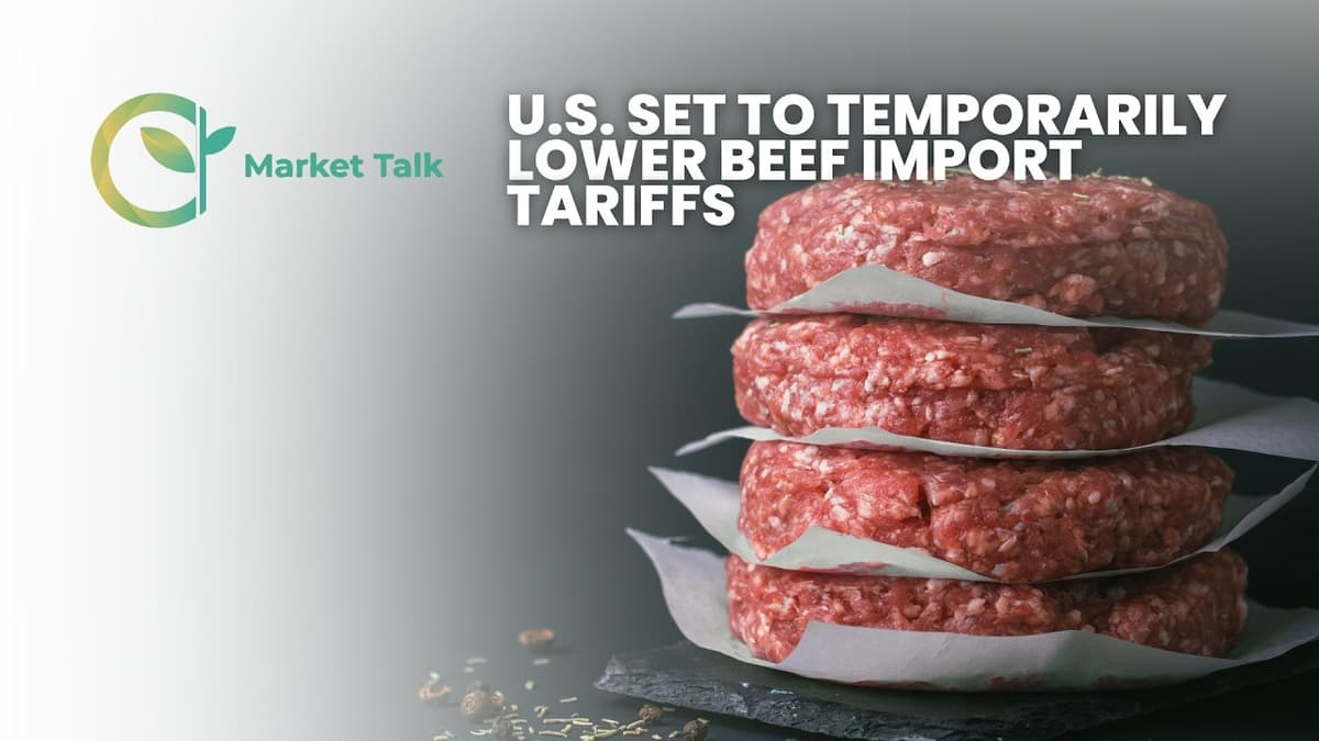 U.S. Set to Temporarily Lower Beef Import Tariffs