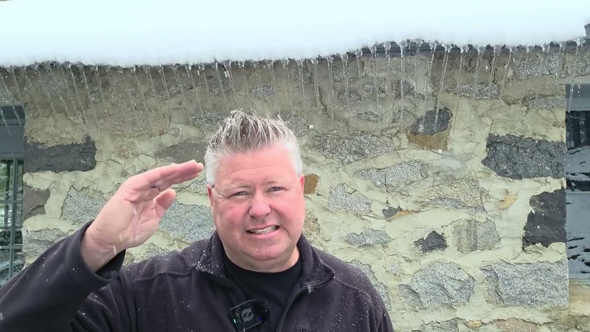 Why I Bought More $REACT Tokens During This Drop