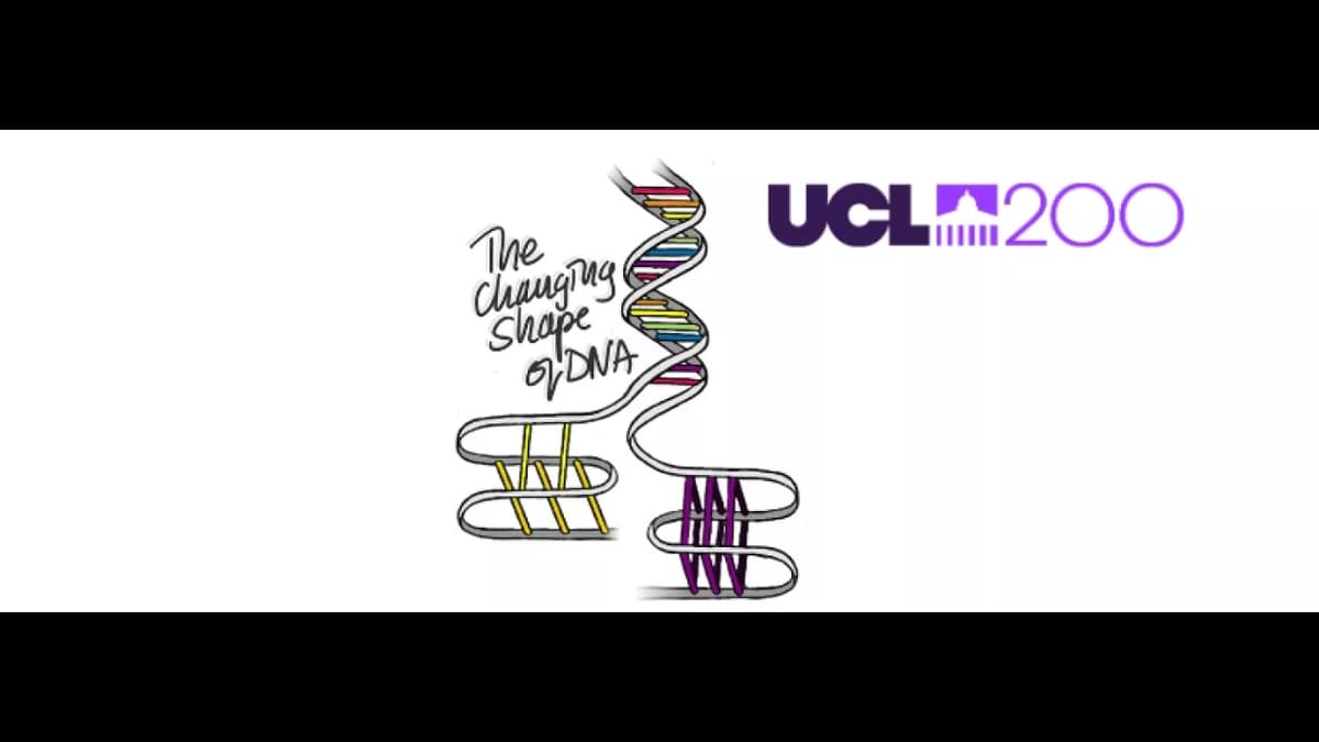 UCL Lunch Hour Lecture - The Changing Shape of DNA