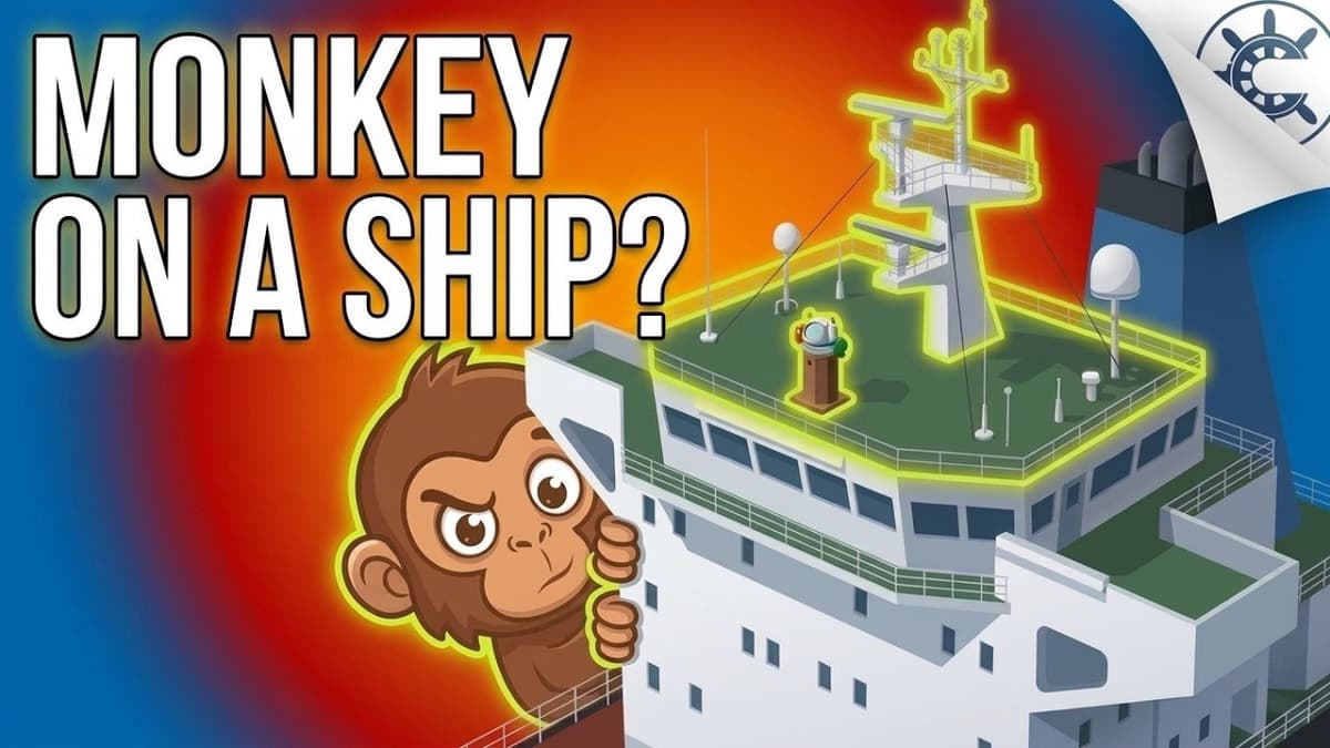 Why Is It Called A Monkey Island?