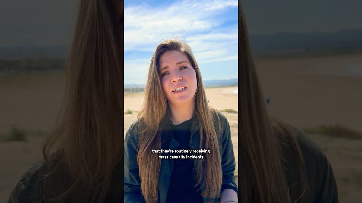 What Our Reporter Saw in Southern Lebanon