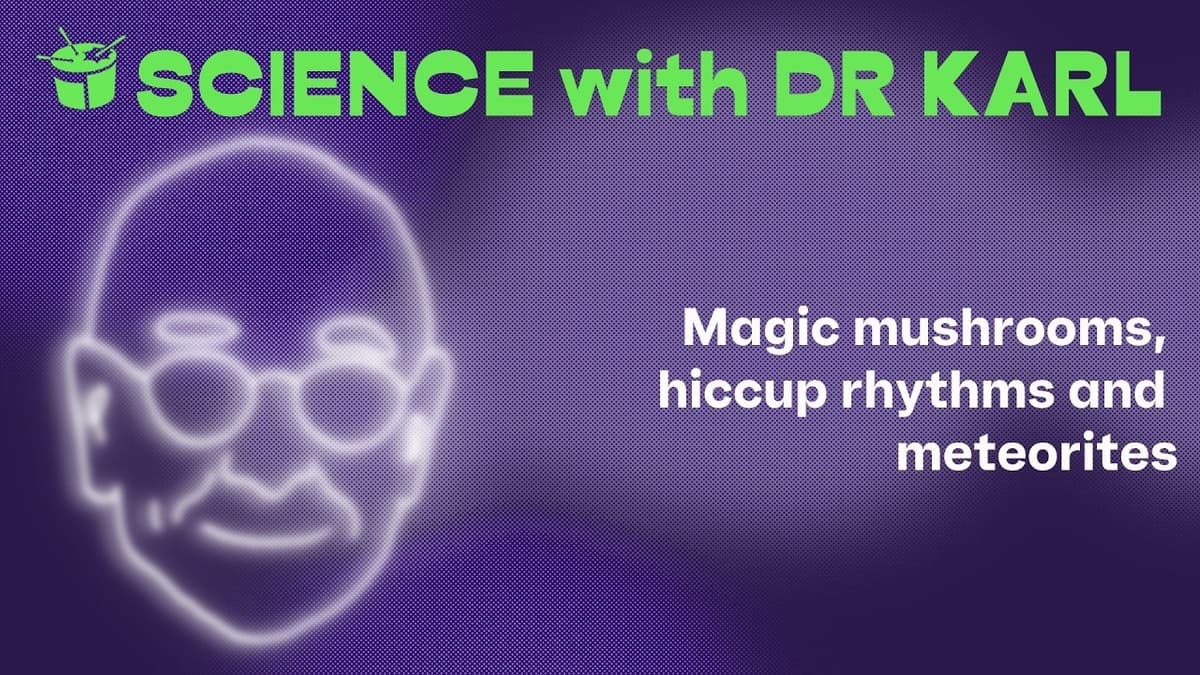 Magic Mushrooms, Hiccup Rhythms and Meteorites