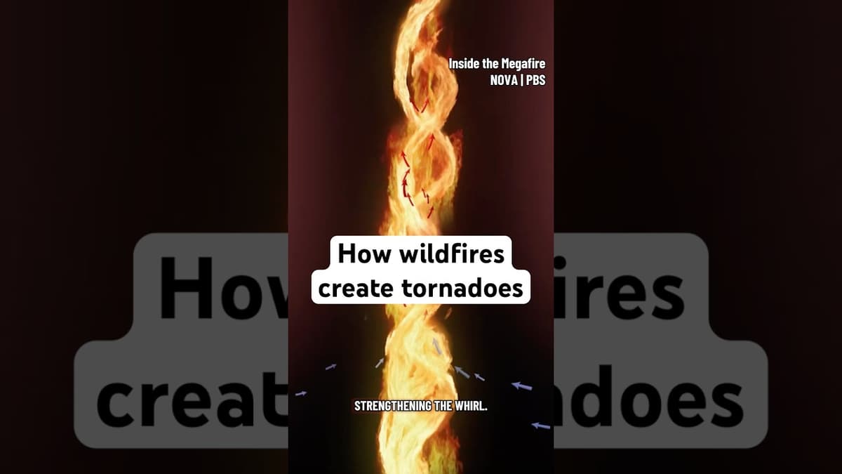 How Wildfires Create Tornadoes #firetornado #wildfire #naturaldisaster #tornado