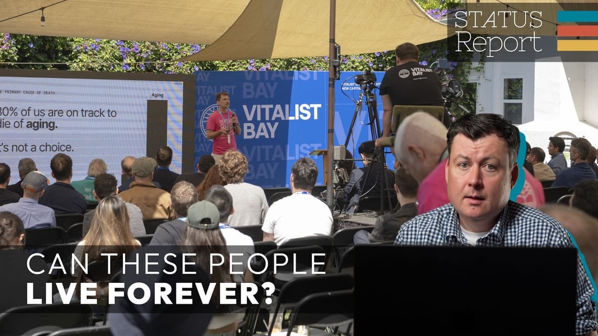 What Happens at a Longevity Festival?