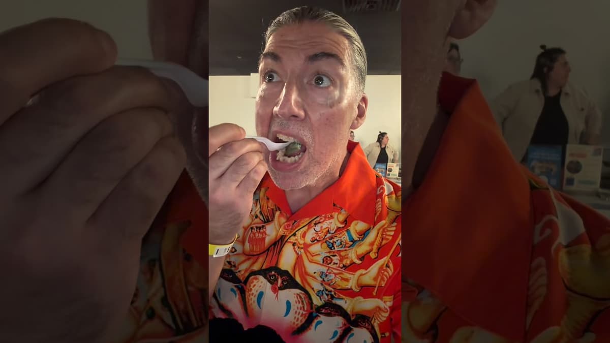 The Taste of Haverhill Food Event Was Awesome! #food #foodie #foodreview #boston #funny #vlog #lol
