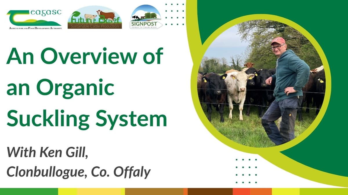 Future Beef Farmer Ken Gill Outlines His Organic Suckling System