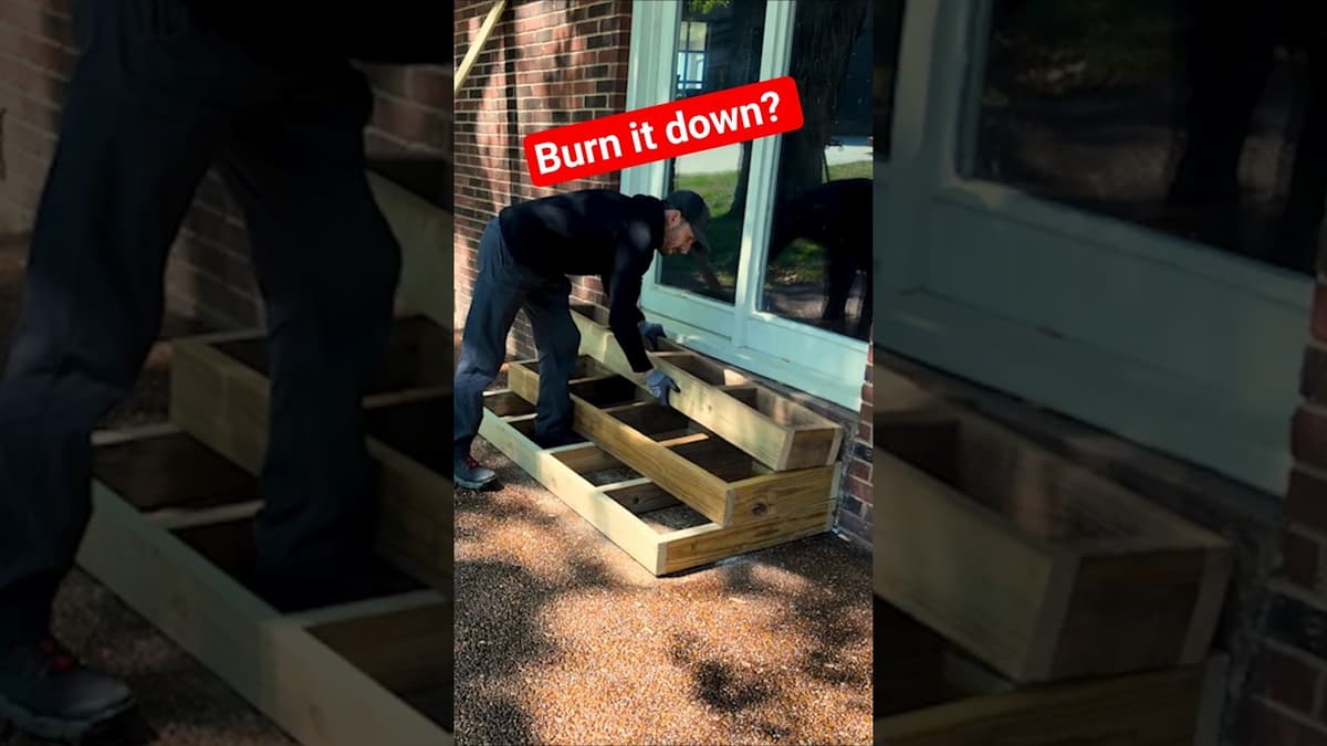 How Fast You Burning It Down? 🐜 🔥