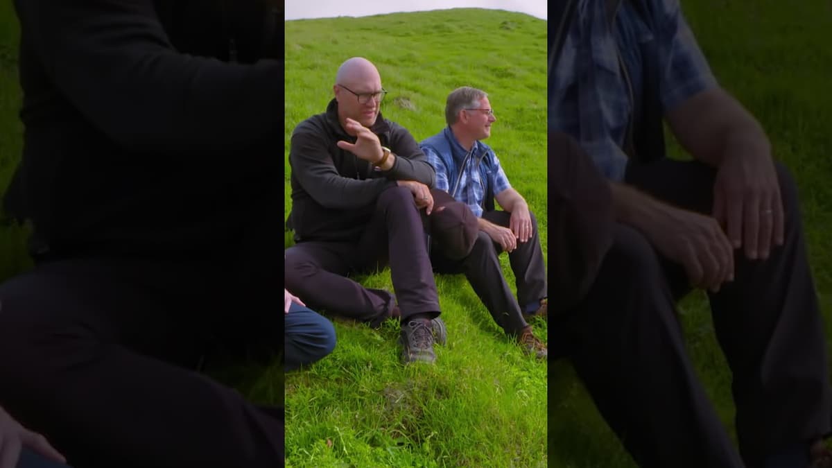 The Atlantic Puffins in Iceland #ricksteves #ricksteveseurope #puffins #icelandpuffins