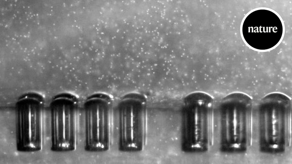 Tiny Robot Fish Could Swim Through the Body Powered by Ultrasound