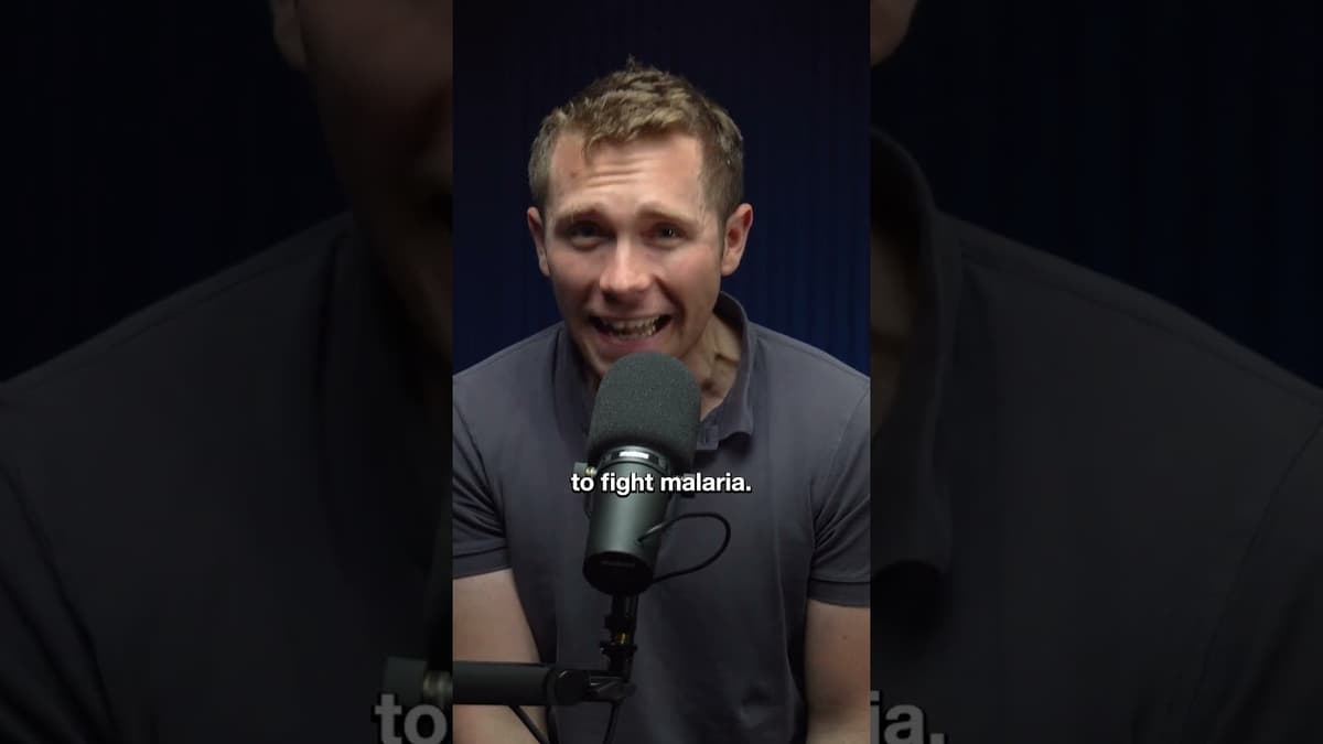 My Top 3 YC Companies