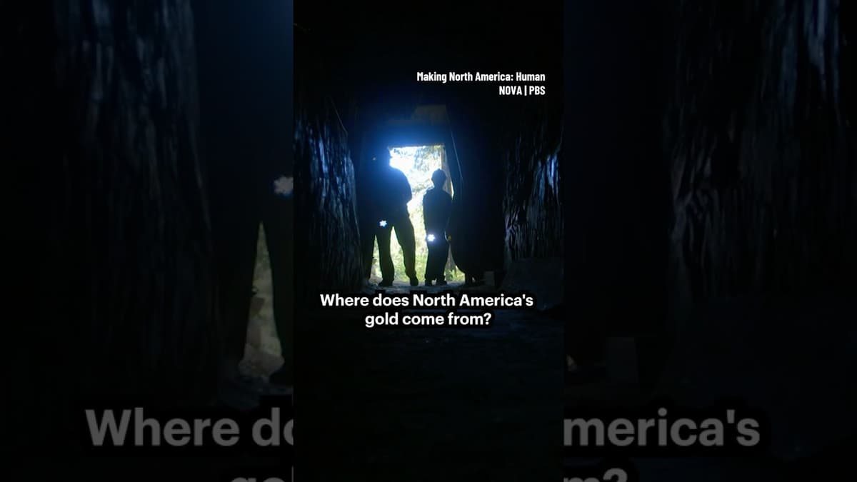 Where Does North America’s Gold Come From? #goldrush #earthquake #geology #quartz
