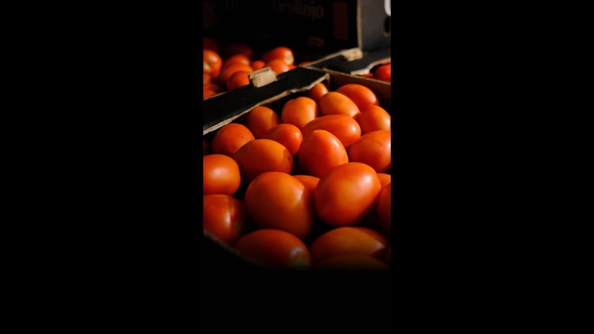 Why Tomatoes Are the Most Expensive They’ve Been in Four Decades