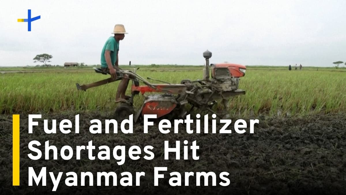 Myanmar Farmers Face Ruin as Middle East War Chokes Off Key Supplies|TaiwanPlus News