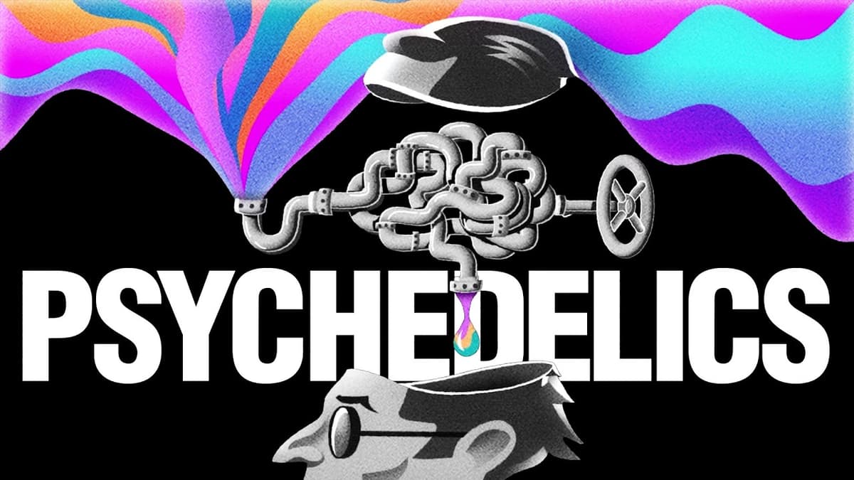 UNRAVELING THE DREAM (A New Documentary Executive Produced by Sam Harris)