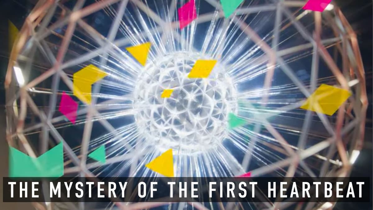 A Work of Art: The Mystery of the First Heartbeat