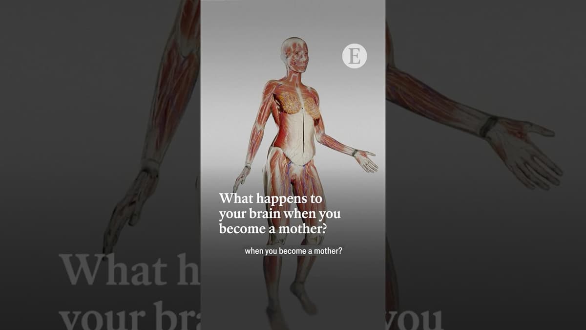 What Happens to Your Brain when You Become a Mother? | The Economist
