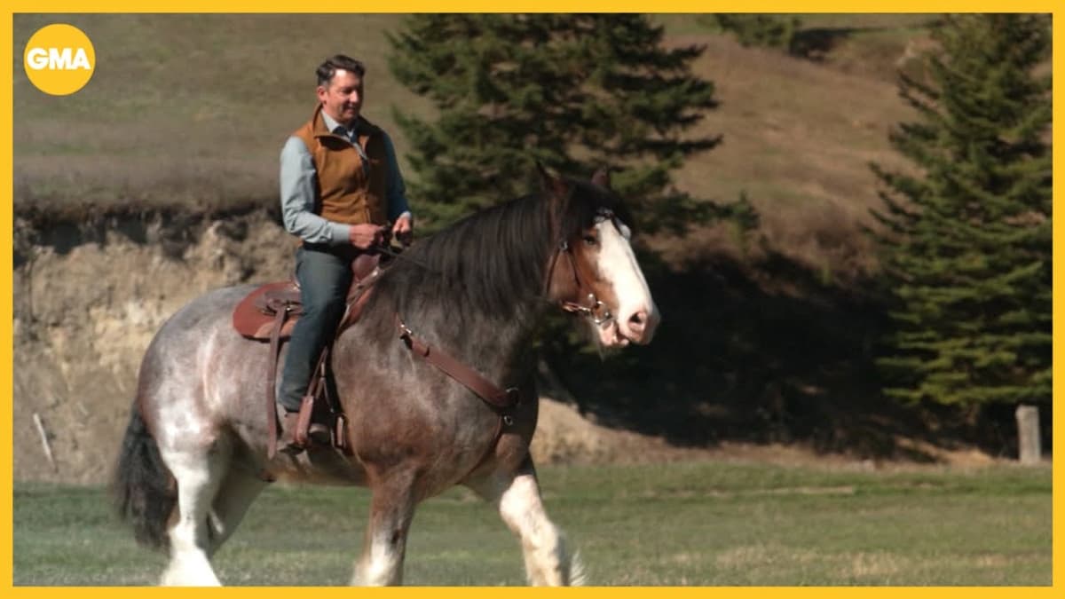 '50 States in 50 Weeks' Visits Montana