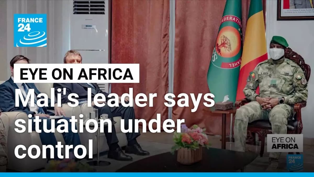 Mali Leader Says Situation Under Control • FRANCE 24 English