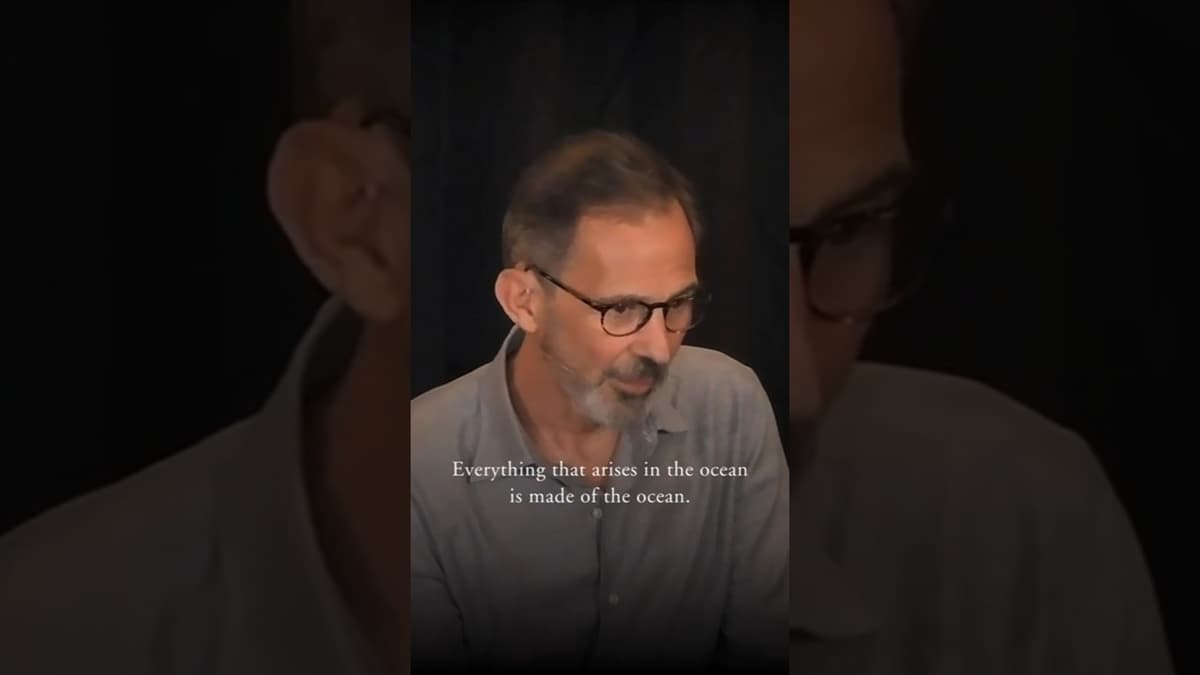 Where Do Our Experiences Go When We Die?