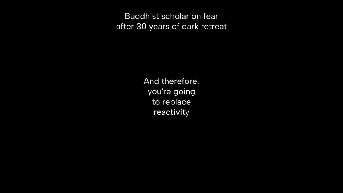 Could Confronting Fear Be One of the Most Practical Preparations for Navigating Future Uncertainty?