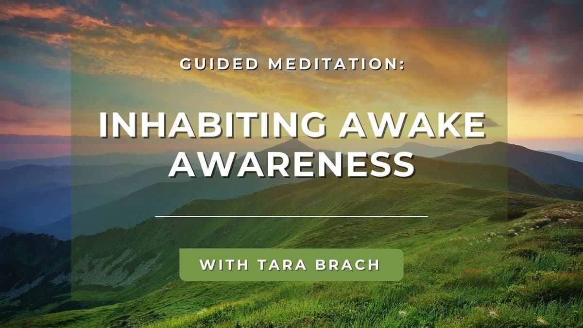 Guided Meditation: Inhabiting Awake Awareness | Tara Brach