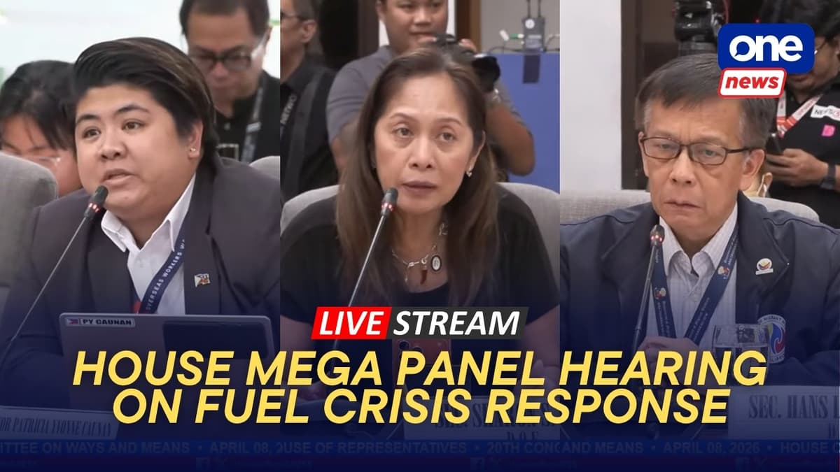 LIVE: House Mega Panel Holds Hearing on Fuel Crisis Response PART 2 (April 8, 2026)