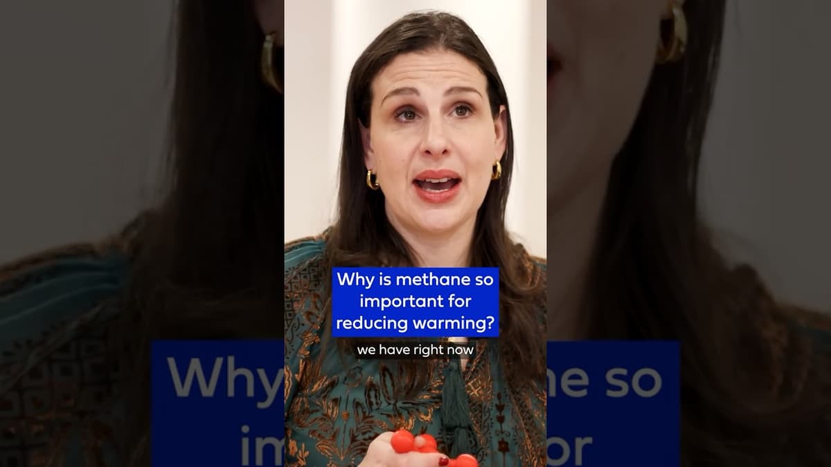 Why Is Methane so Important for Reducing Warming?