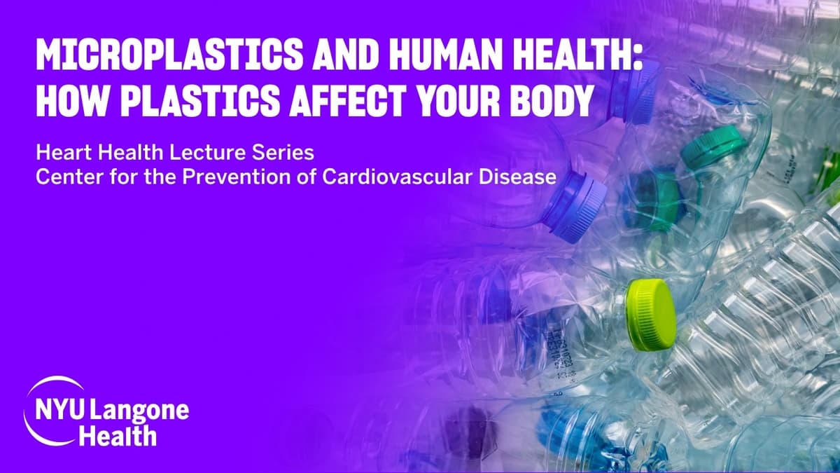 Microplastics and Human Health: How Plastics Affect Your Body
