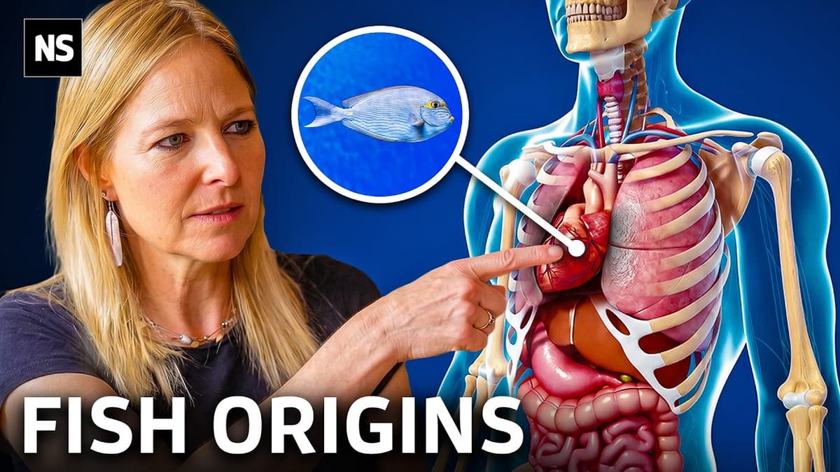 The Forgotten Origins Of Your Human Body