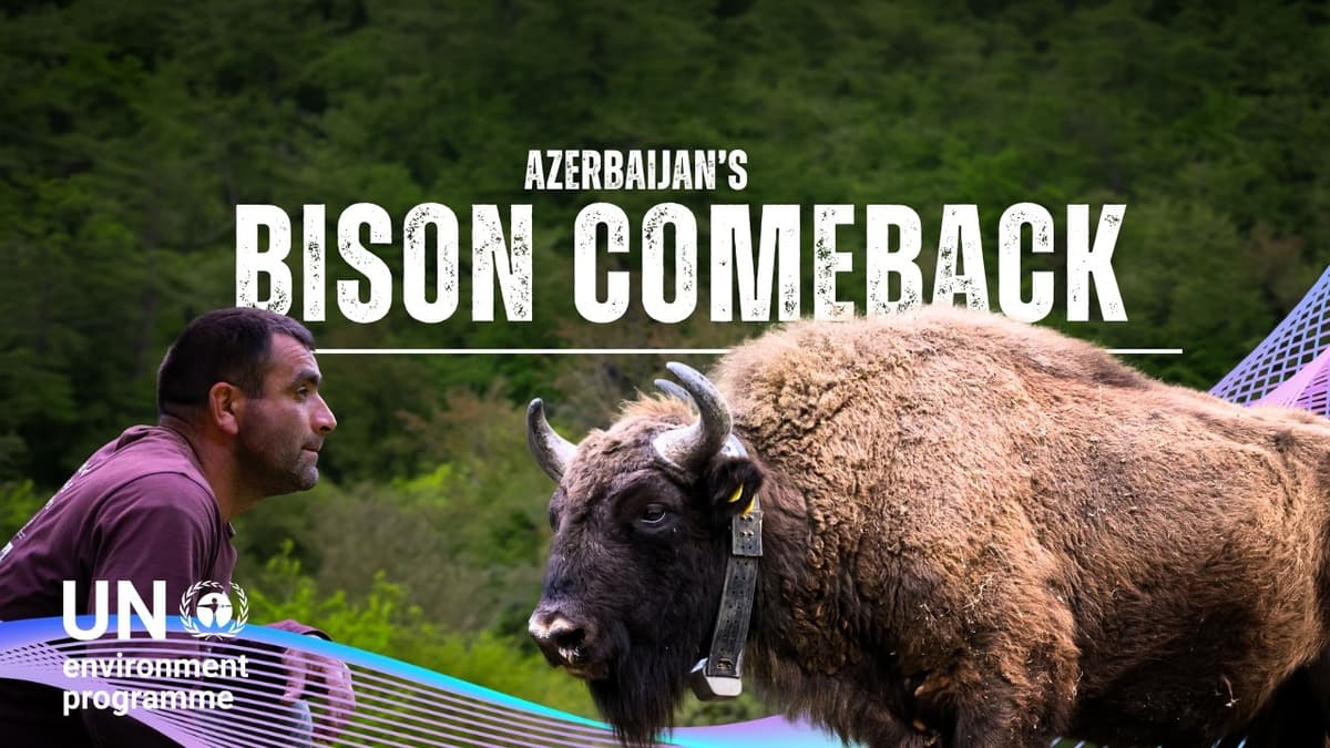 An Unexpected Climate Solution on the Grasslands of Azerbaijan #nowforclimate
