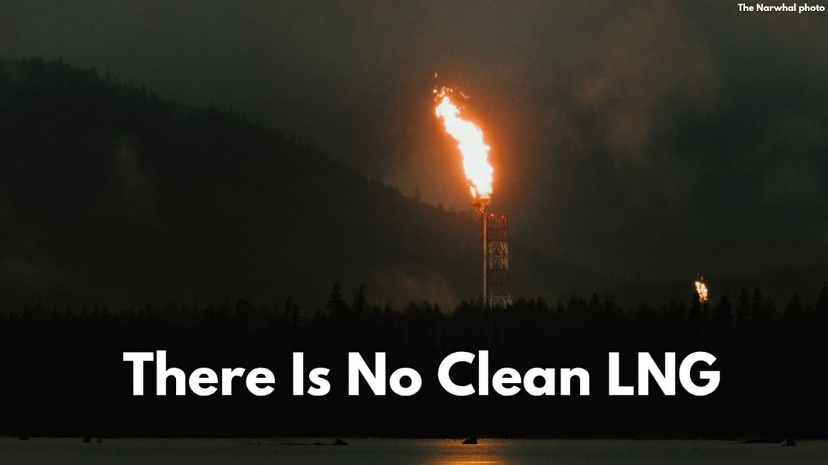Texas Air-Pollution Expert Says LNG Canada Emissions Worst He's Ever Seen