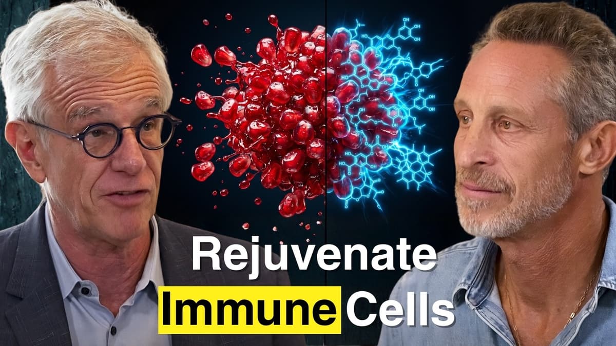 This Compound Reverses Immune Aging — Here's Why Scientists Are Stunned