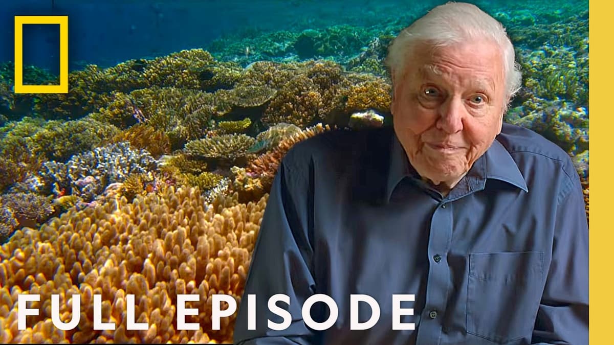 Ocean with David Attenborough (Full Documentary) | SPECIAL | National Geographic