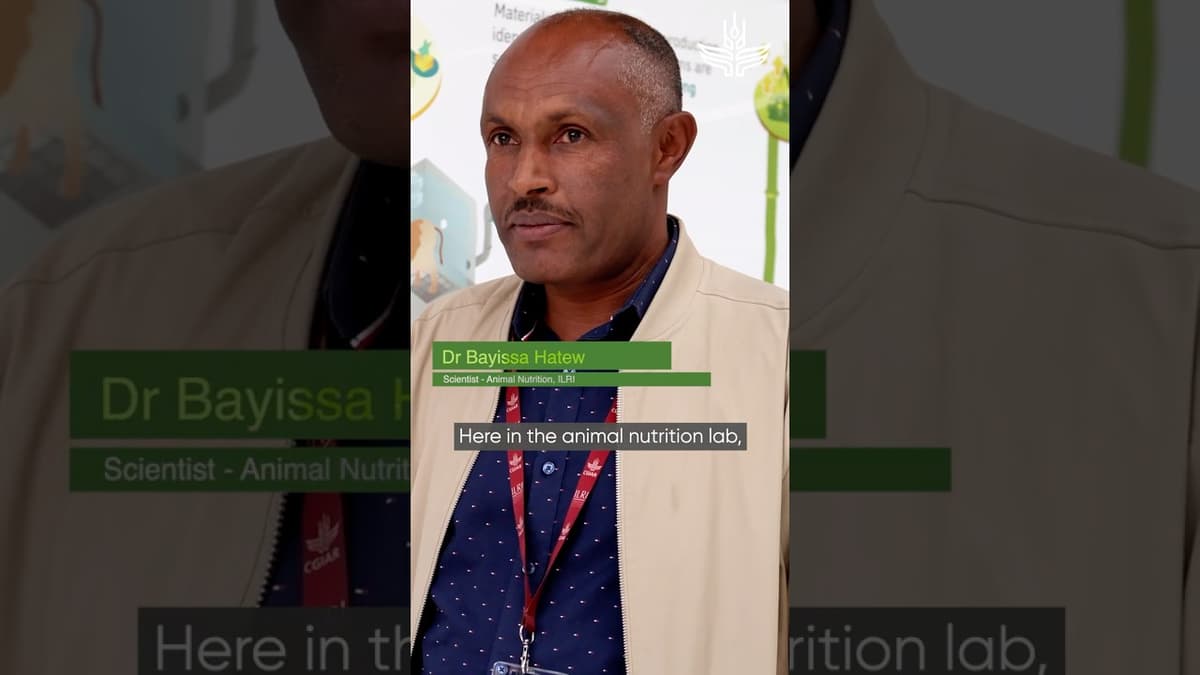 Reducing Methane Emissions From Livestock