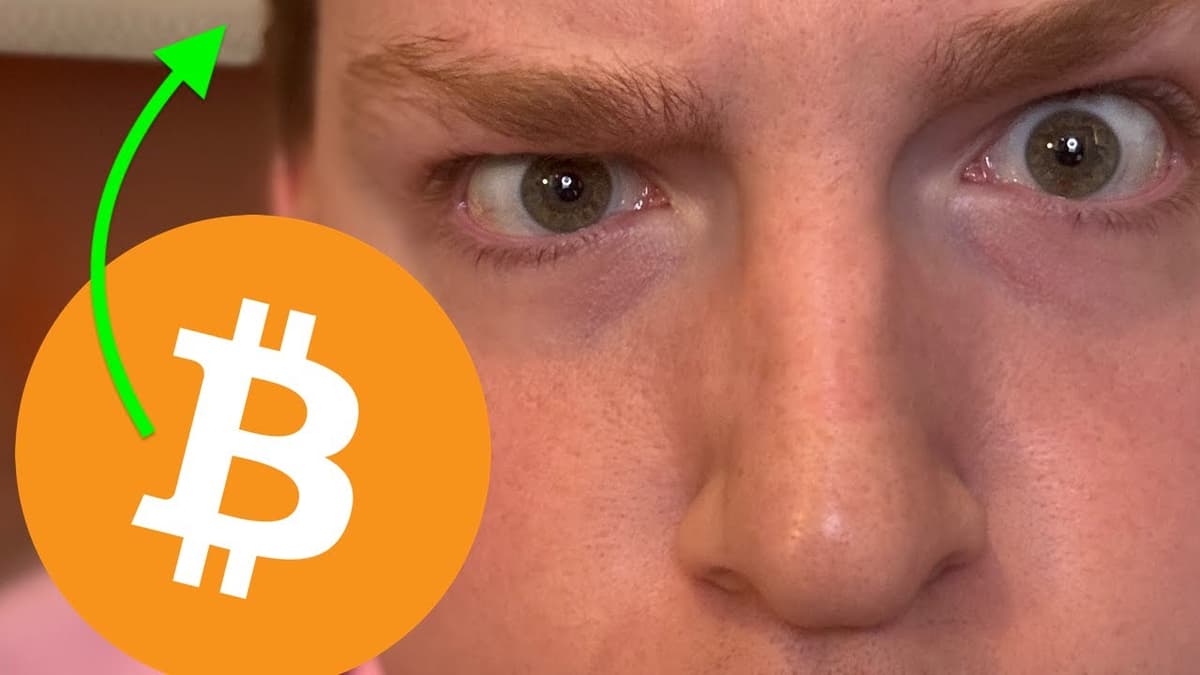 BITCOIN: EVERYONE IS WRONG ABOUT THE BOUNCE!!!!! Whale Explains