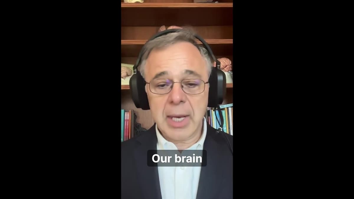 Brain Plasticity Never Late