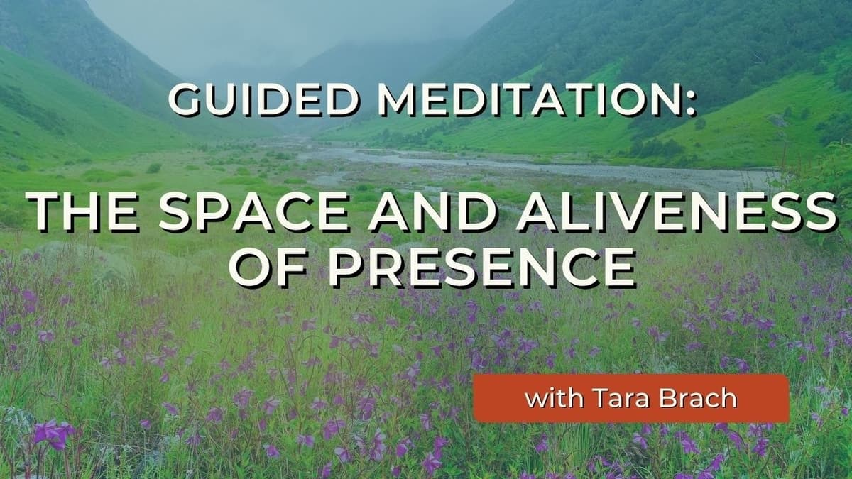 Guided Meditation: The Space and Aliveness of Presence | Tara Brach