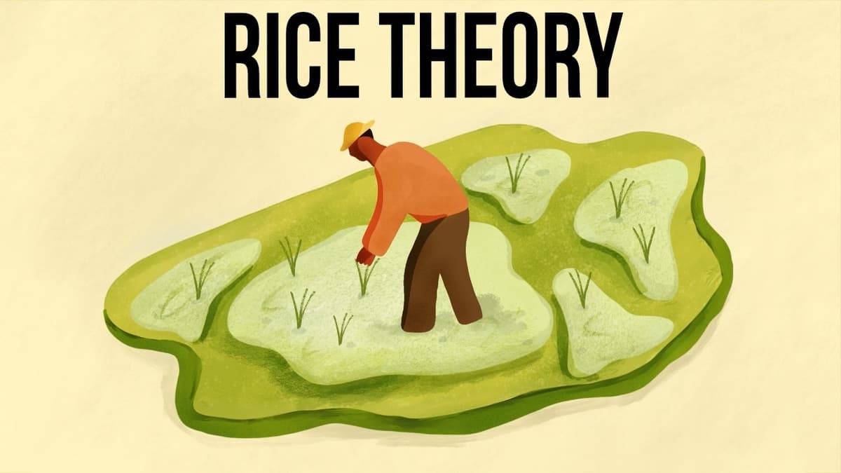 What to Think of the Rice Theory of the Japanese Character