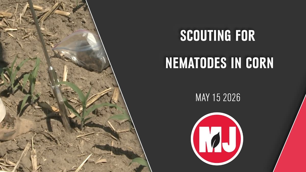 Scouting for Corn Nematodes | Tamra Jackson-Ziems | May 15, 2026